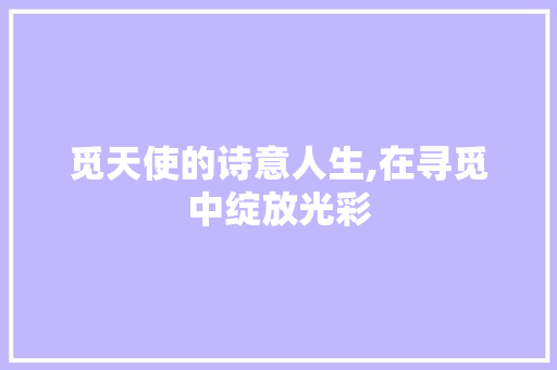 觅天使的诗意人生,在寻觅中绽放光彩