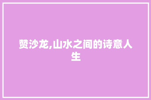 赞沙龙,山水之间的诗意人生