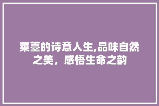 菜薹的诗意人生,品味自然之美，感悟生命之韵