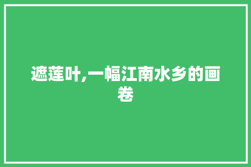 遮莲叶,一幅江南水乡的画卷