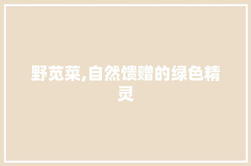 野苋菜,自然馈赠的绿色精灵