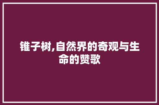 锥子树,自然界的奇观与生命的赞歌