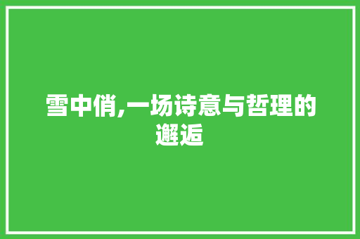 雪中俏,一场诗意与哲理的邂逅
