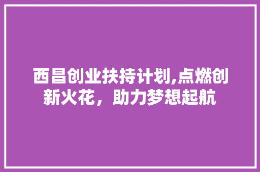 西昌创业扶持计划,点燃创新火花，助力梦想起航