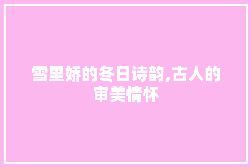 雪里娇的冬日诗韵,古人的审美情怀