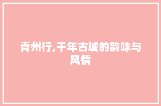 青州行,千年古城的韵味与风情 近义词汇