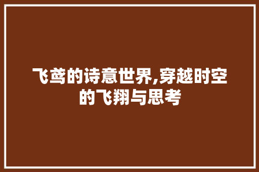 飞鸢的诗意世界,穿越时空的飞翔与思考