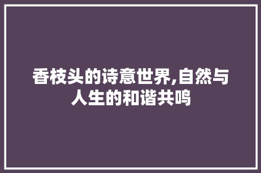 香枝头的诗意世界,自然与人生的和谐共鸣