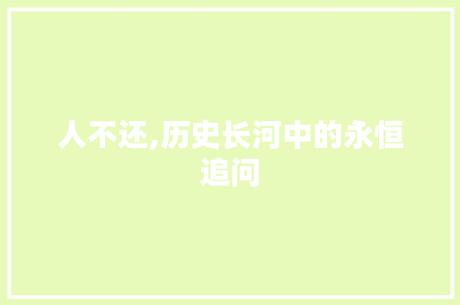 人不还,历史长河中的永恒追问