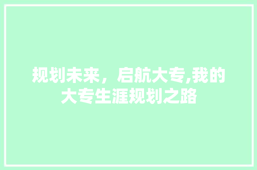 规划未来，启航大专,我的大专生涯规划之路