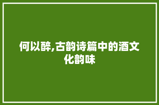 何以醉,古韵诗篇中的酒文化韵味