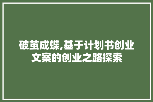 破茧成蝶,基于计划书创业文案的创业之路探索