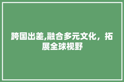 跨国出差,融合多元文化，拓展全球视野