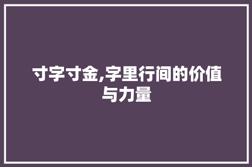 寸字寸金,字里行间的价值与力量