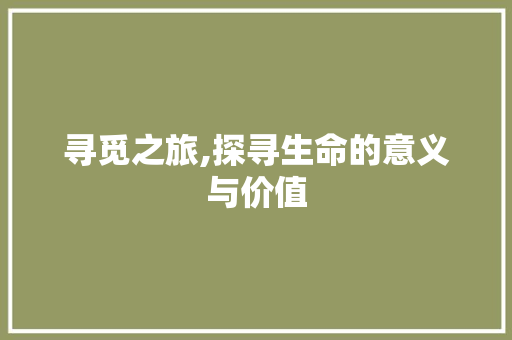 寻觅之旅,探寻生命的意义与价值
