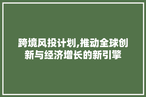 跨境风投计划,推动全球创新与经济增长的新引擎