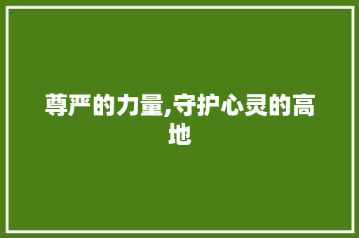 尊严的力量,守护心灵的高地