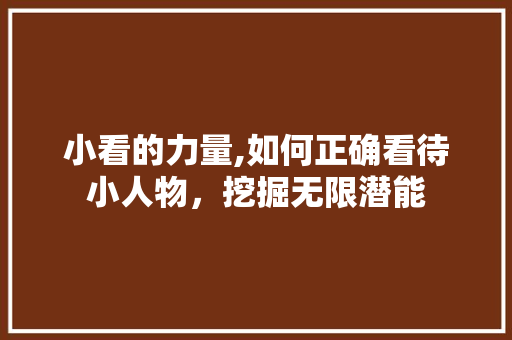 小看的力量,如何正确看待小人物，挖掘无限潜能