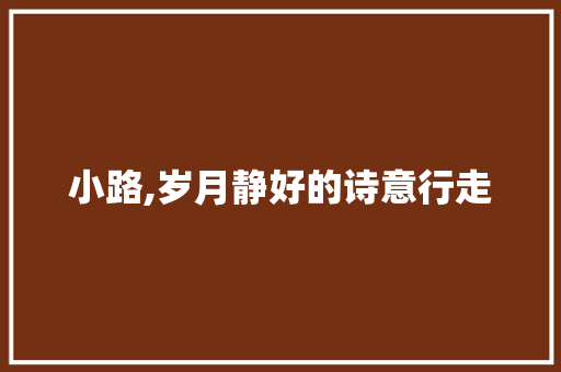 小路,岁月静好的诗意行走