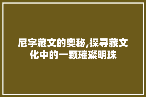尼字藏文的奥秘,探寻藏文化中的一颗璀璨明珠