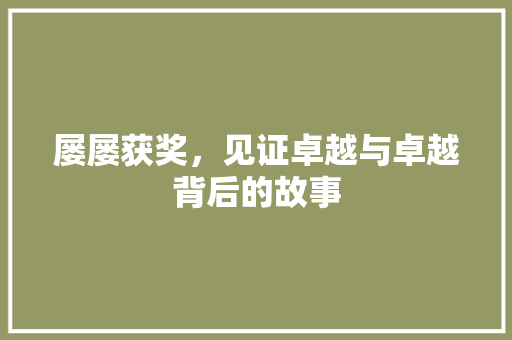 屡屡获奖，见证卓越与卓越背后的故事