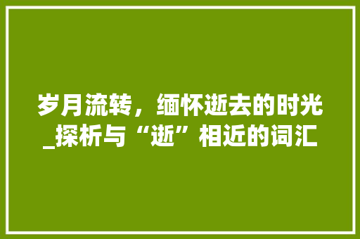 岁月流转，缅怀逝去的时光_探析与“逝”相近的词汇及其文化内涵
