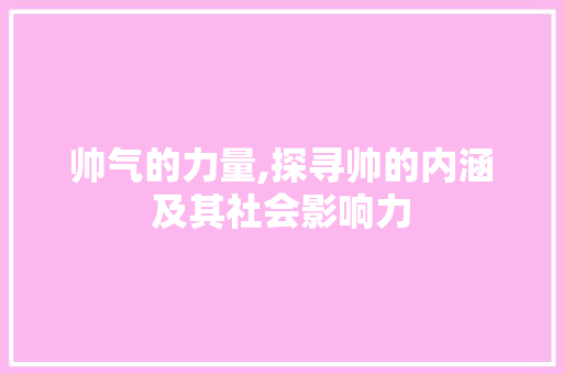 帅气的力量,探寻帅的内涵及其社会影响力
