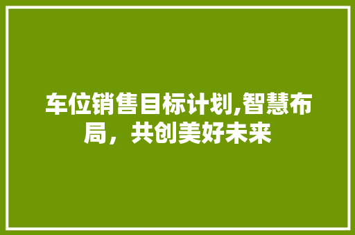 车位销售目标计划,智慧布局，共创美好未来