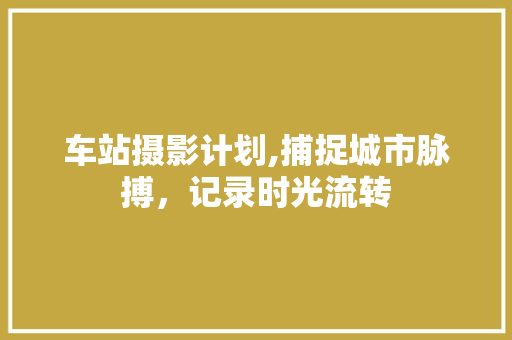 车站摄影计划,捕捉城市脉搏，记录时光流转