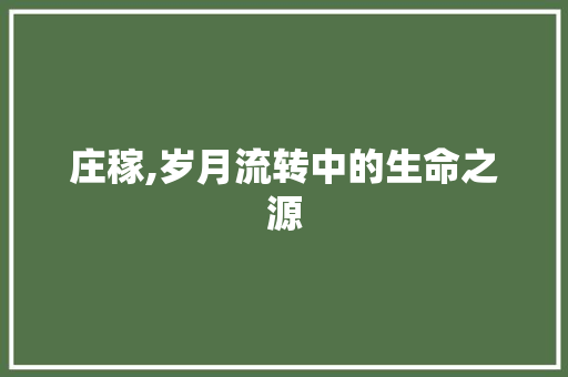庄稼,岁月流转中的生命之源