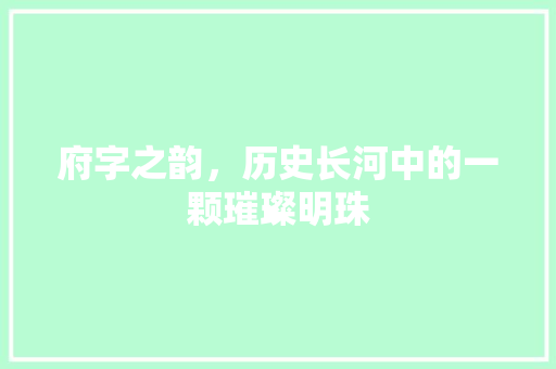 府字之韵，历史长河中的一颗璀璨明珠