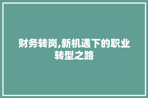 财务转岗,新机遇下的职业转型之路