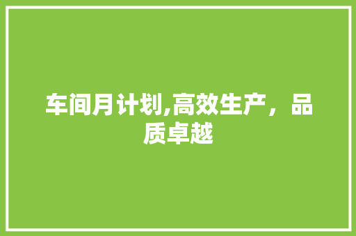 车间月计划,高效生产，品质卓越