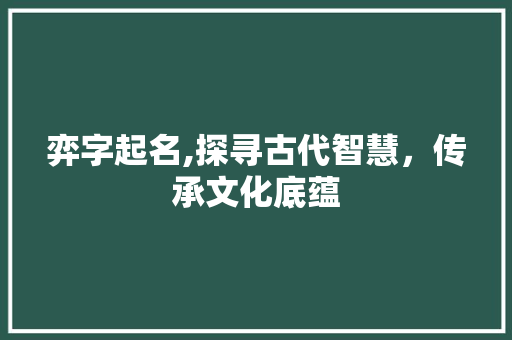 弈字起名,探寻古代智慧，传承文化底蕴