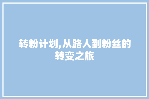 转粉计划,从路人到粉丝的转变之旅