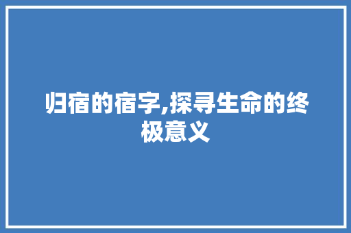 归宿的宿字,探寻生命的终极意义 近义词汇