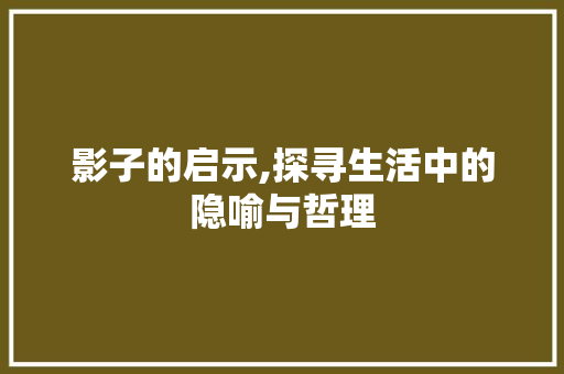 影子的启示,探寻生活中的隐喻与哲理 诗词佳句