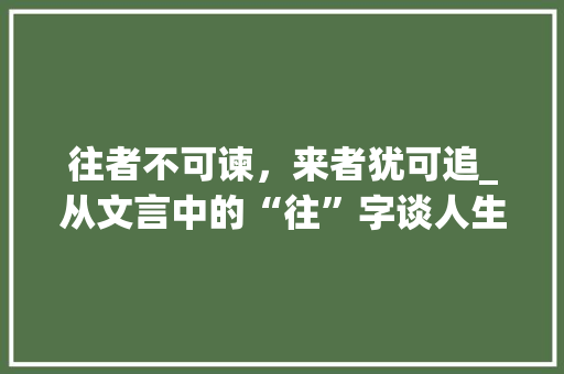 往者不可谏，来者犹可追_从文言中的“往”字谈人生哲理