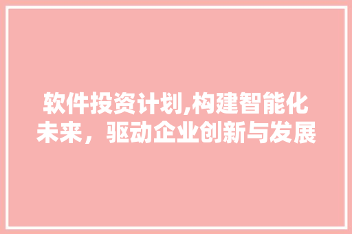 软件投资计划,构建智能化未来，驱动企业创新与发展