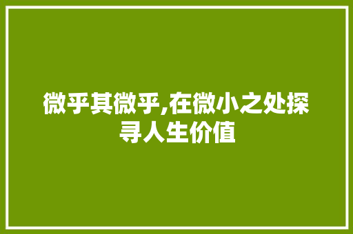 微乎其微乎,在微小之处探寻人生价值