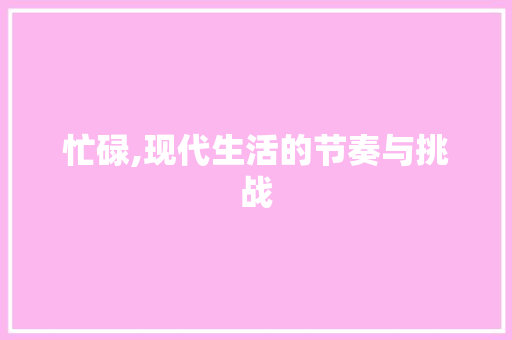 忙碌,现代生活的节奏与挑战