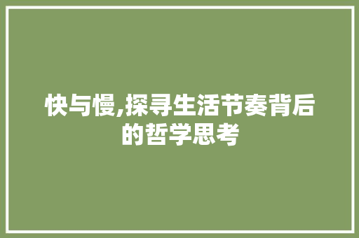 快与慢,探寻生活节奏背后的哲学思考