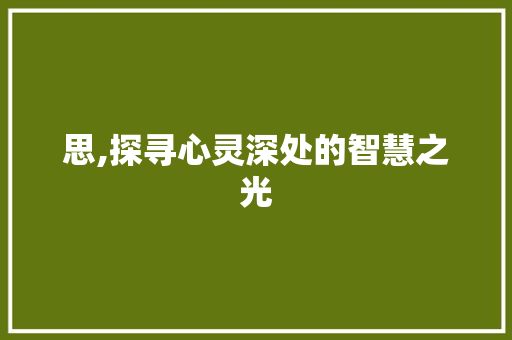 思,探寻心灵深处的智慧之光