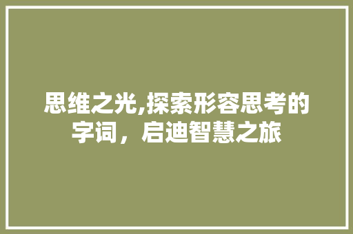 思维之光,探索形容思考的字词，启迪智慧之旅