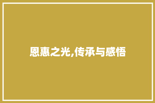 恩惠之光,传承与感悟