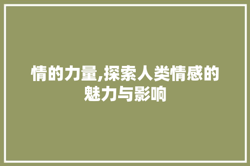 情的力量,探索人类情感的魅力与影响