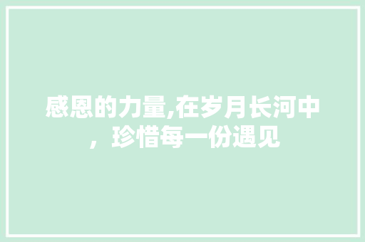 感恩的力量,在岁月长河中，珍惜每一份遇见
