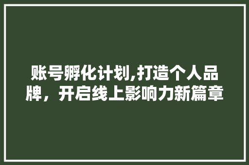 账号孵化计划,打造个人品牌，开启线上影响力新篇章