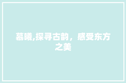 慕曦,探寻古韵，感受东方之美