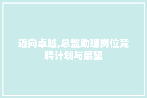 迈向卓越,总监助理岗位竞聘计划与展望
